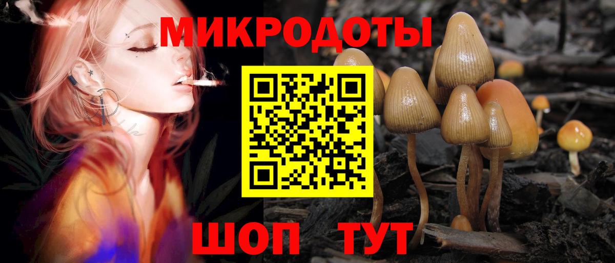 Галлюциногенные грибы Cubensis  Вход с VPN  Черняховск  закладка  Галлюциногенные грибы Magic Shrooms 